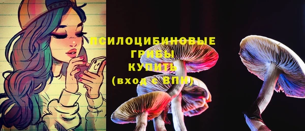 мескалин Козловка