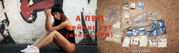 дмт Корсаков